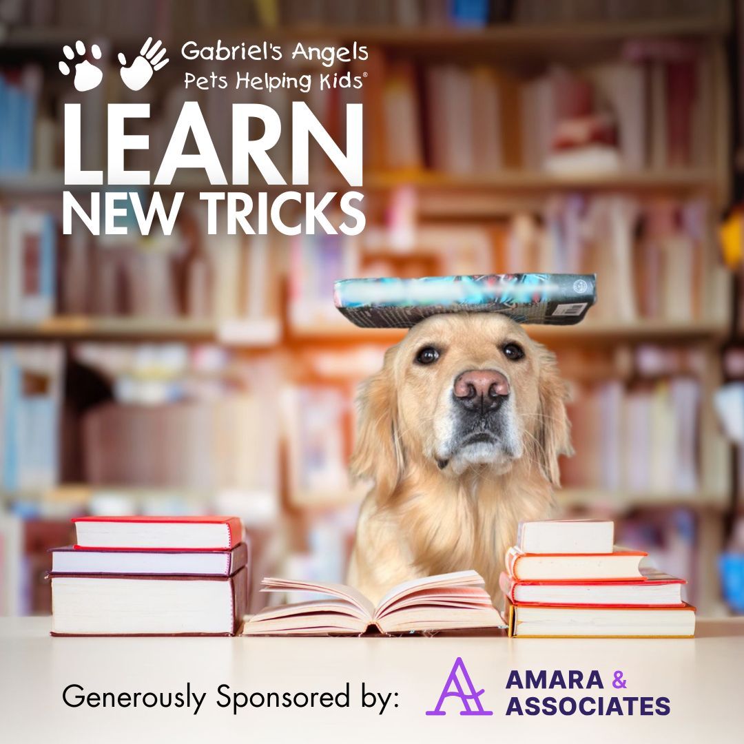 A golden retriever sits in a library balancing a book on his head. The Gabriel's Angels logo is in the top left corner over text that reads, "Learn new tricks". Text at the bottom of the image reads, "Generously sponsored by" and is followed by the logo for Amara and Associates.